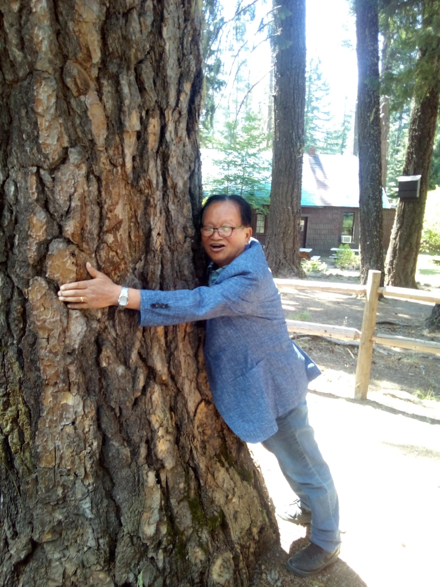 Mr Cho hugs tree